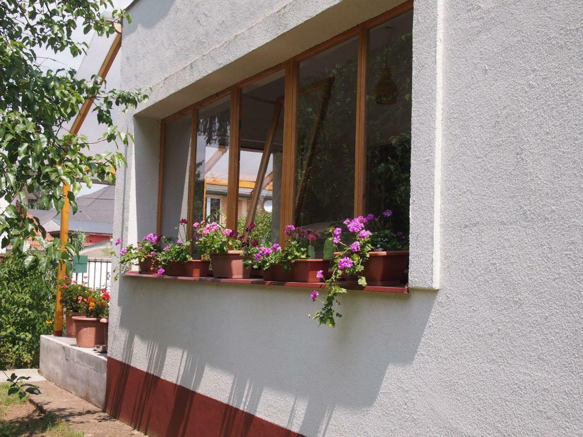 Deel Apartman Nyíregyháza Exterior foto